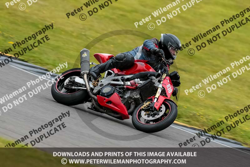 PJ Motorsport 2019;anglesey no limits trackday;anglesey photographs;anglesey trackday photographs;enduro digital images;event digital images;eventdigitalimages;no limits trackdays;peter wileman photography;racing digital images;trac mon;trackday digital images;trackday photos;ty croes